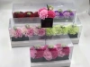 Italian rose Application Scenario